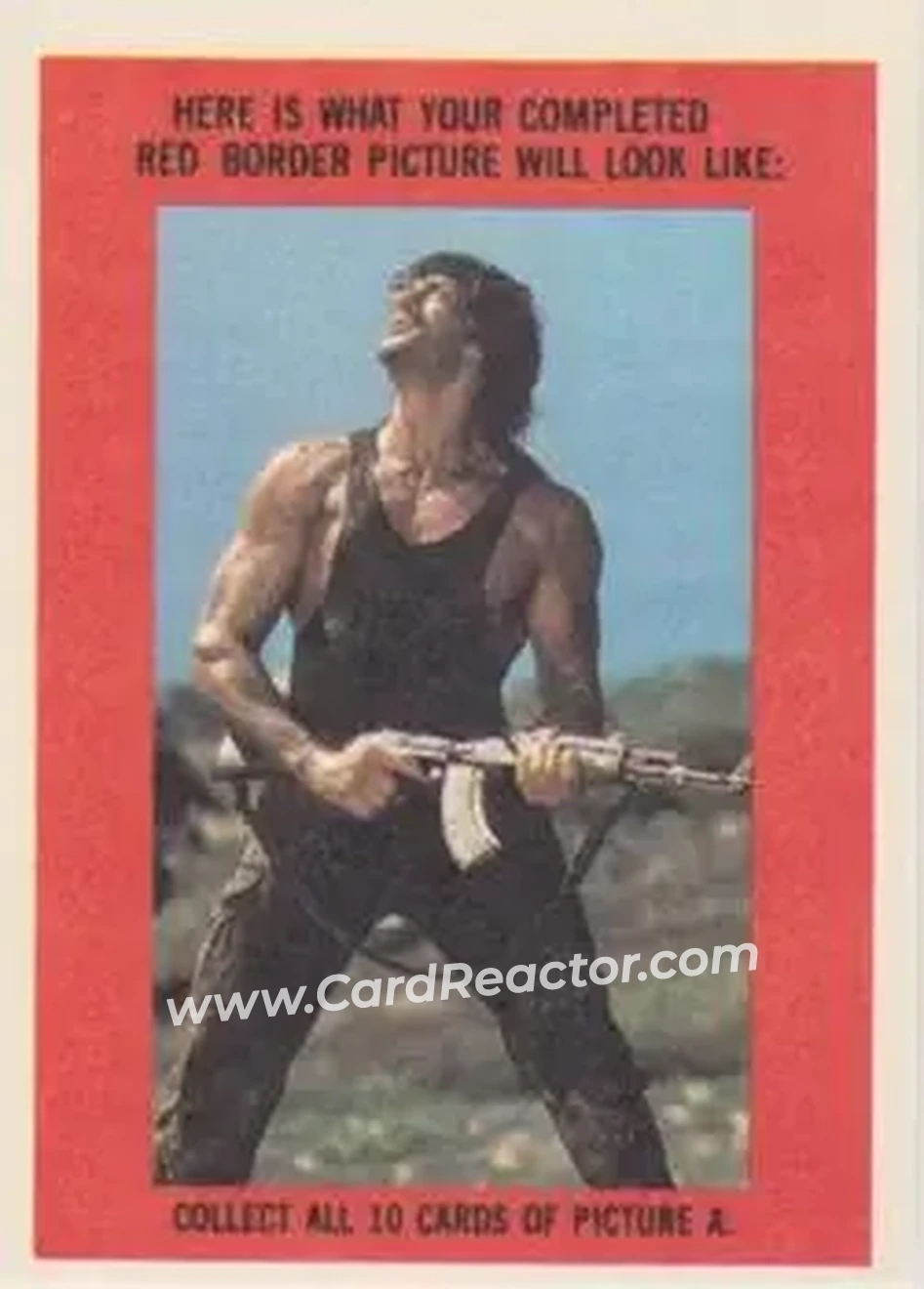 Back of Card #5