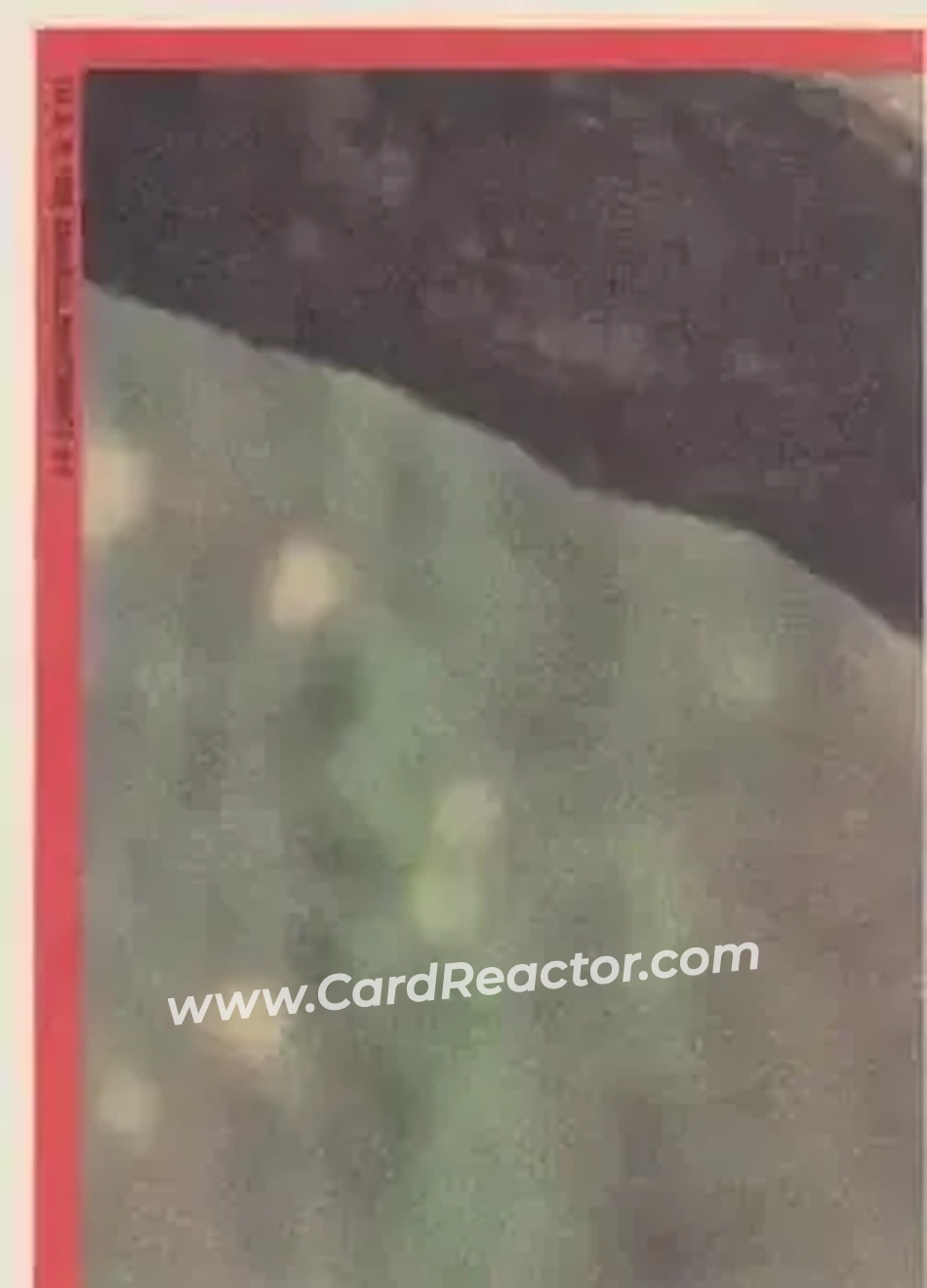 Back of Card #19