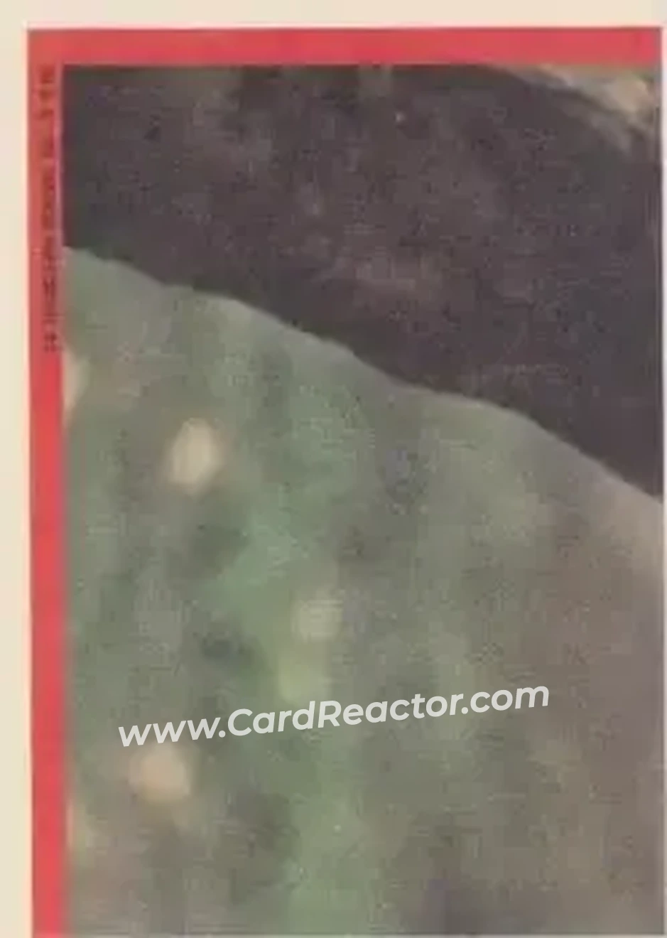 Back of Card #21
