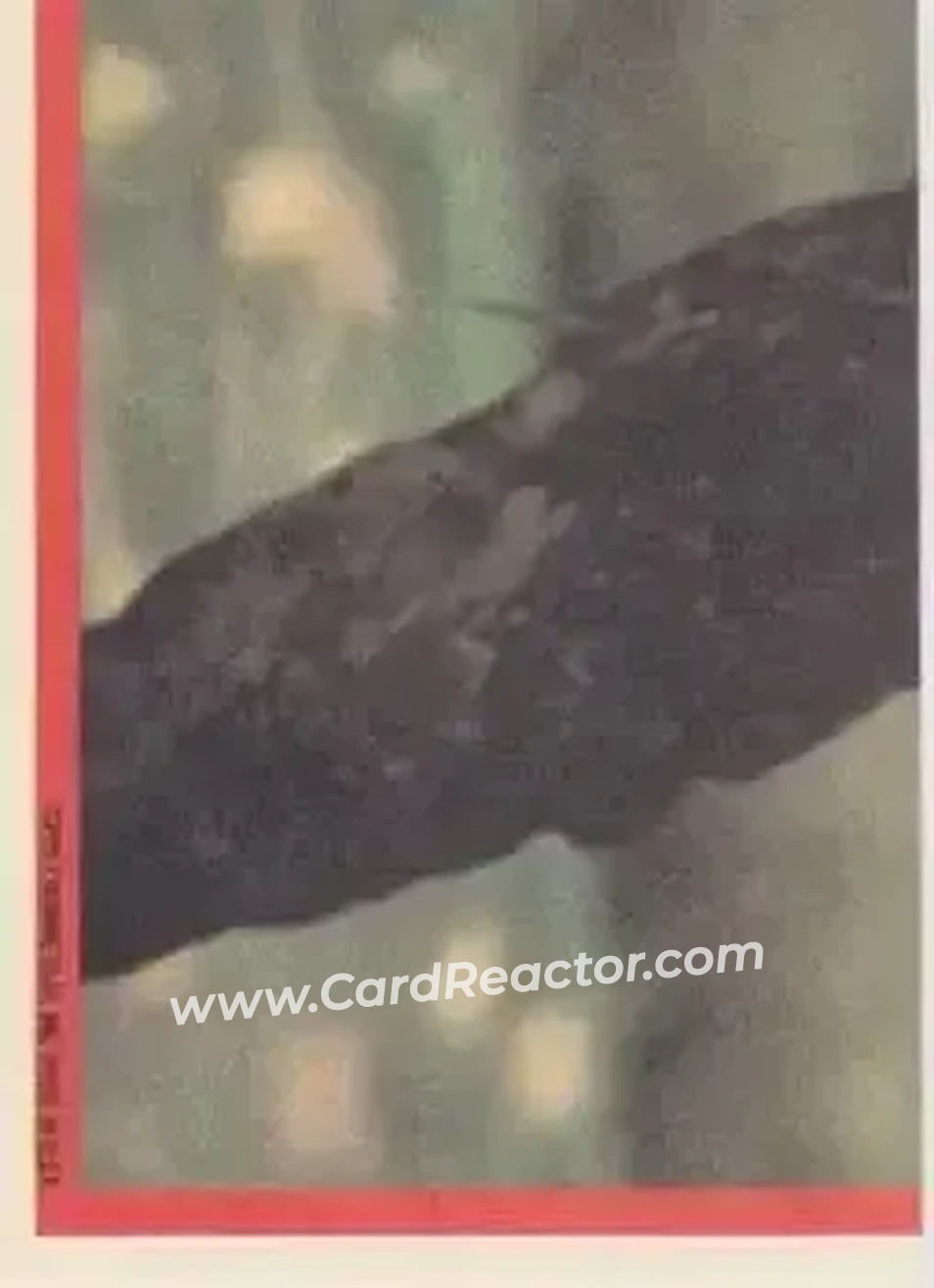 Back of Card #22
