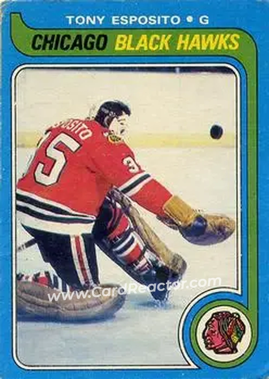 1979-80 O-Pee-Chee #80 Tony Esposito
