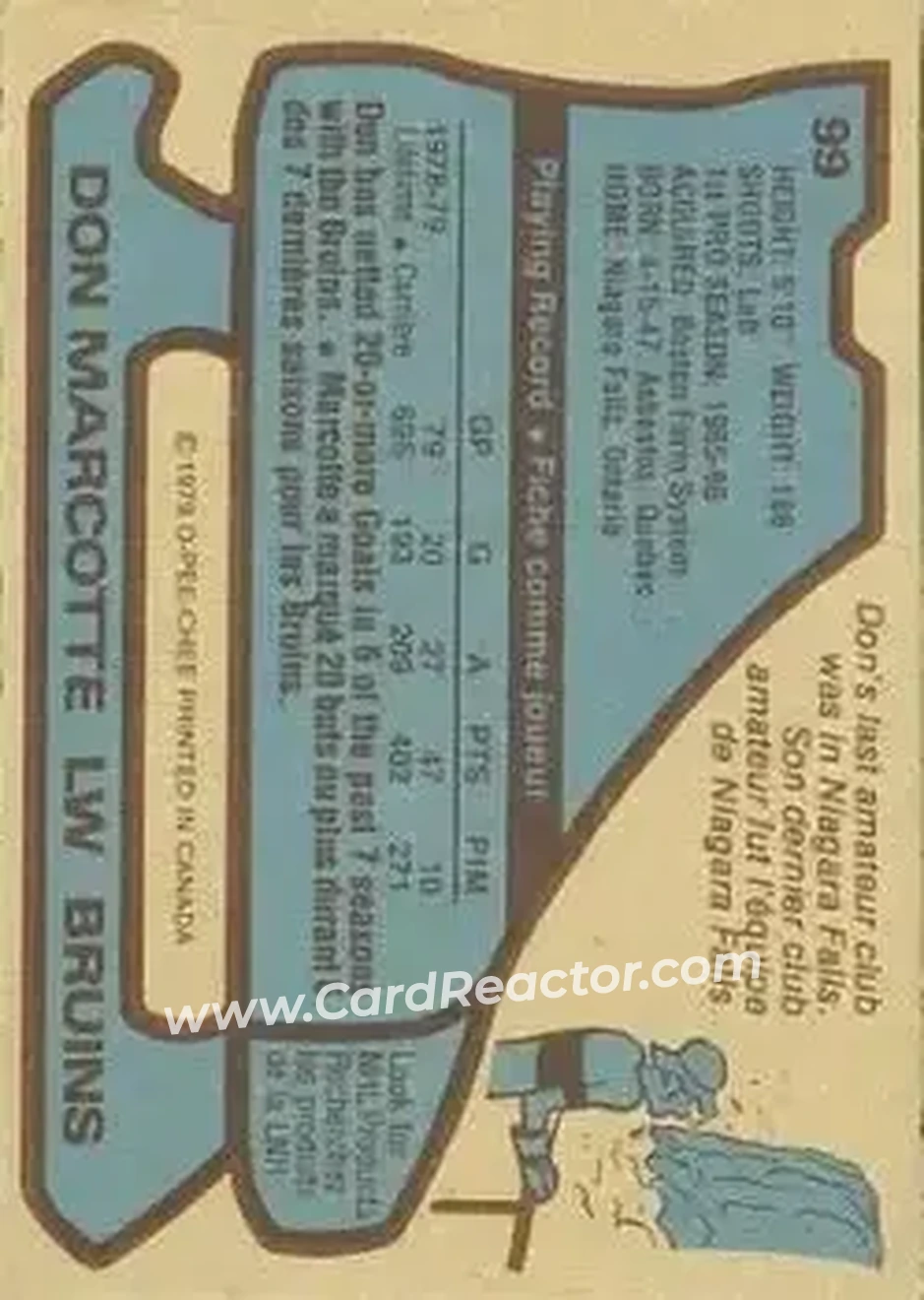 Back of Don Marcotte