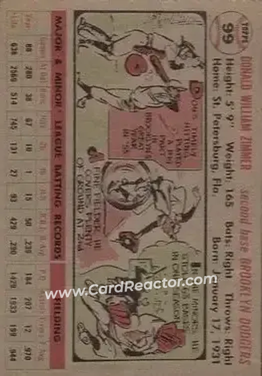 Back of Don Zimmer