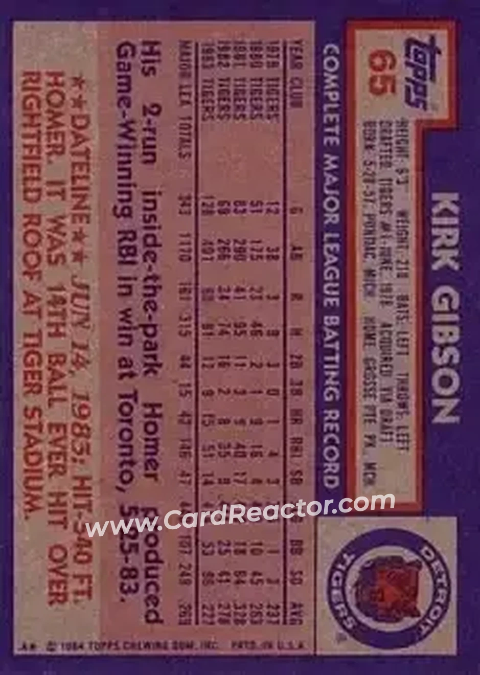 Back of Kirk Gibson