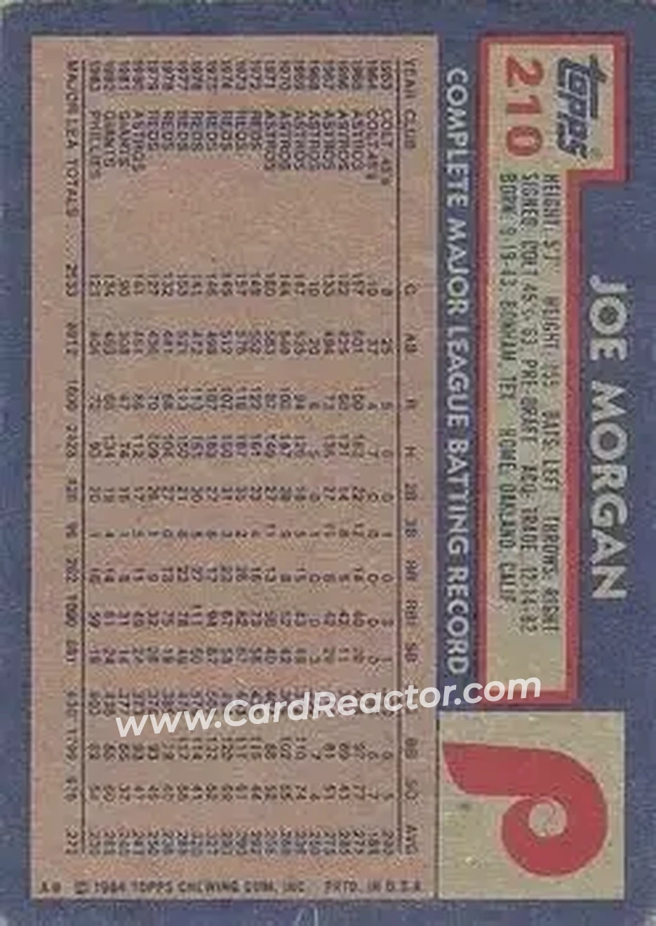 Back of Joe Morgan