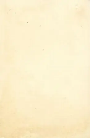 1880 Corner Clefs Baseball Comics (H804-10) #NNO - Fly. - Back