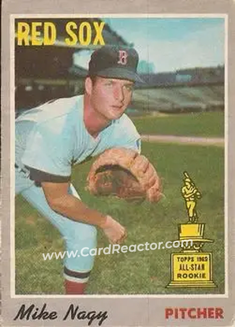 1970 O-Pee-Chee #39 Mike Nagy