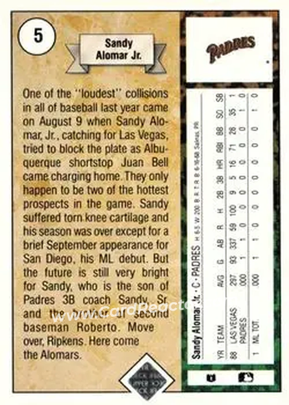 Back of Sandy Alomar Jr.