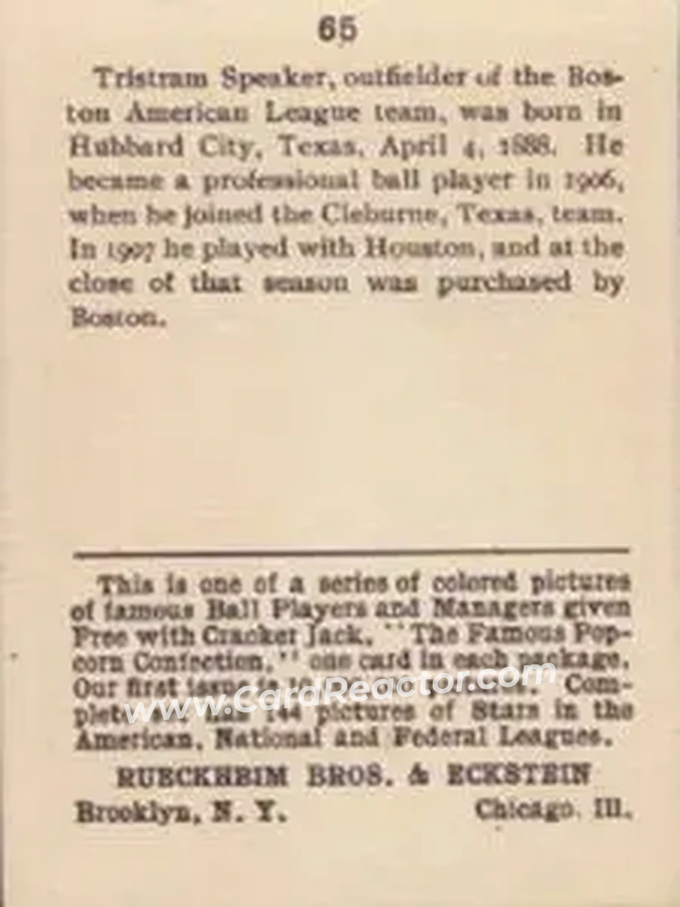 Back of Tris Speaker