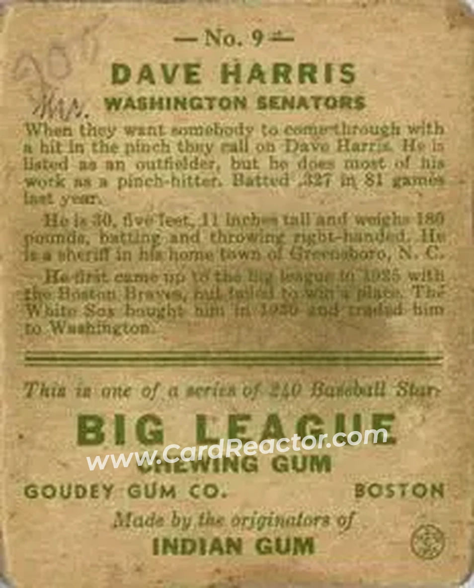Back of Dave Harris