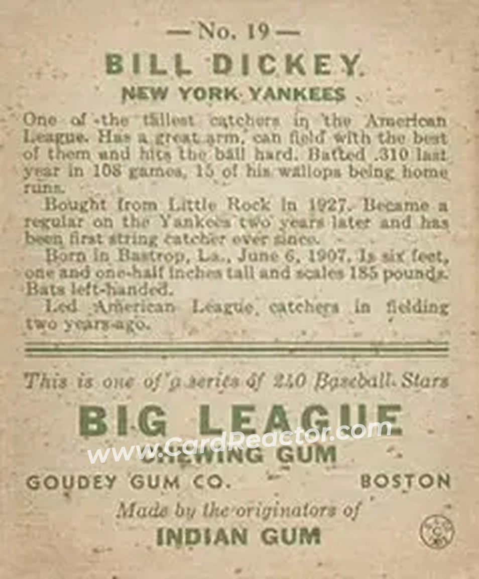 Back of Bill Dickey