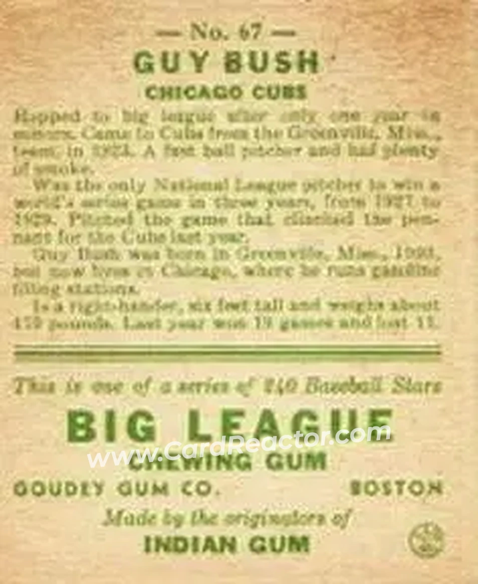 Back of Guy Bush