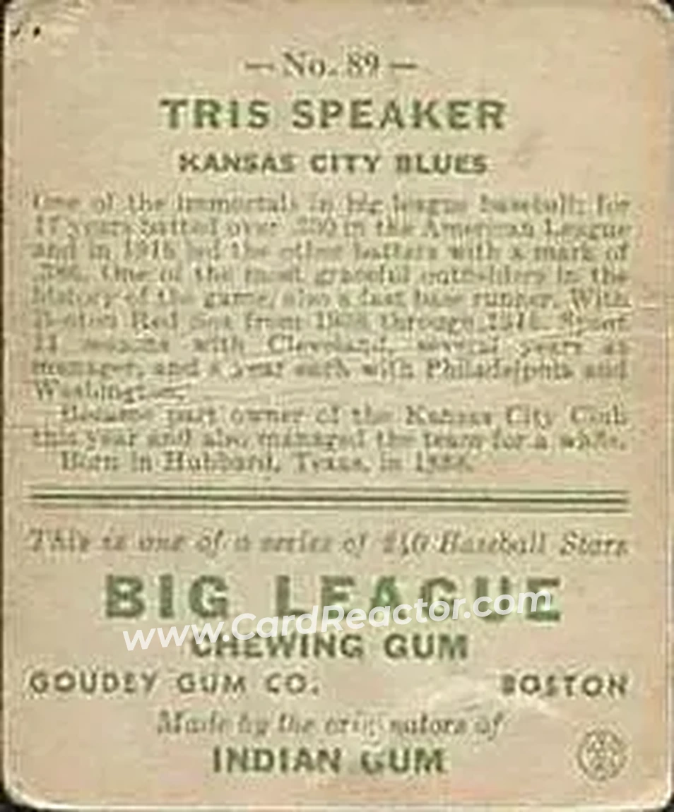 Back of Tris Speaker