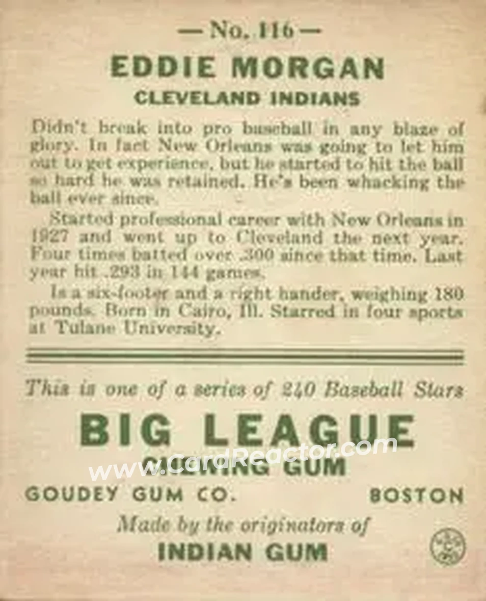 Back of Eddie Morgan