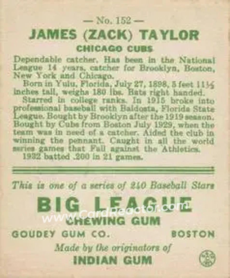 Back of Zack Taylor