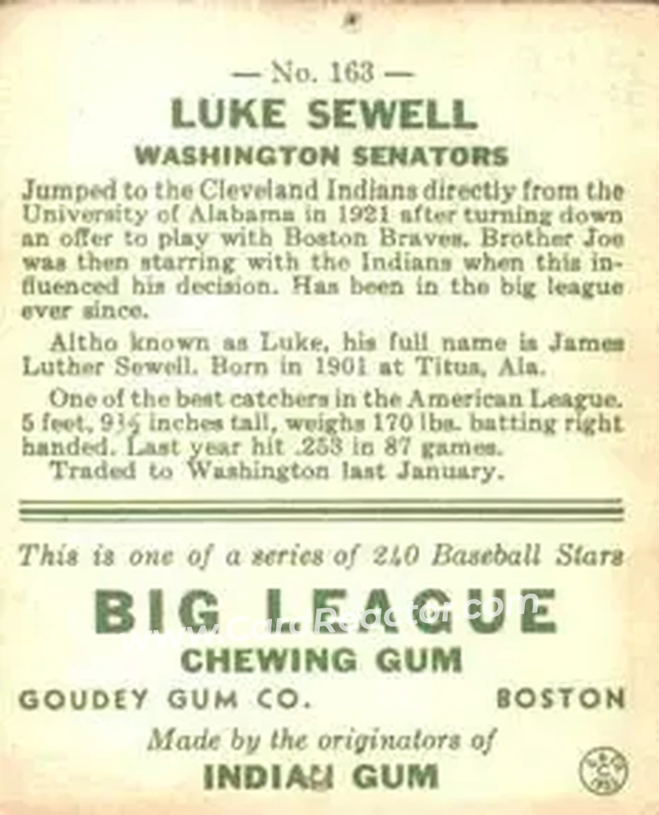 Back of Luke Sewell