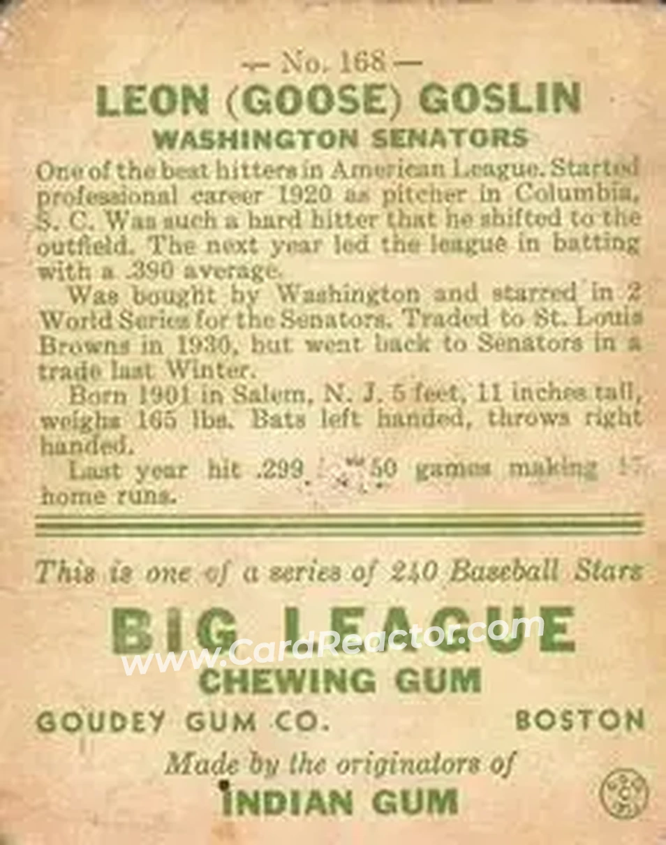 Back of Goose Goslin