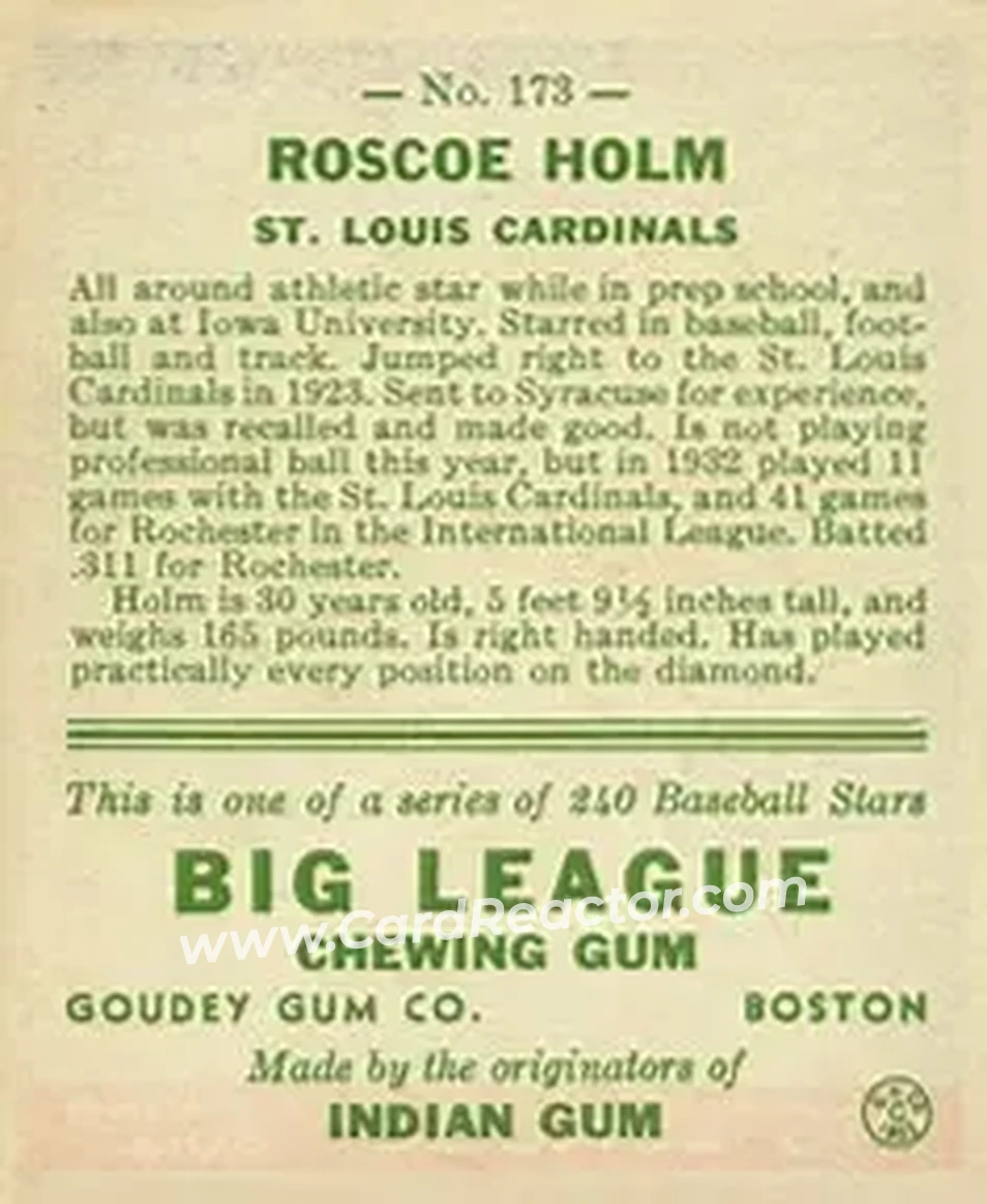 Back of Roscoe Holm