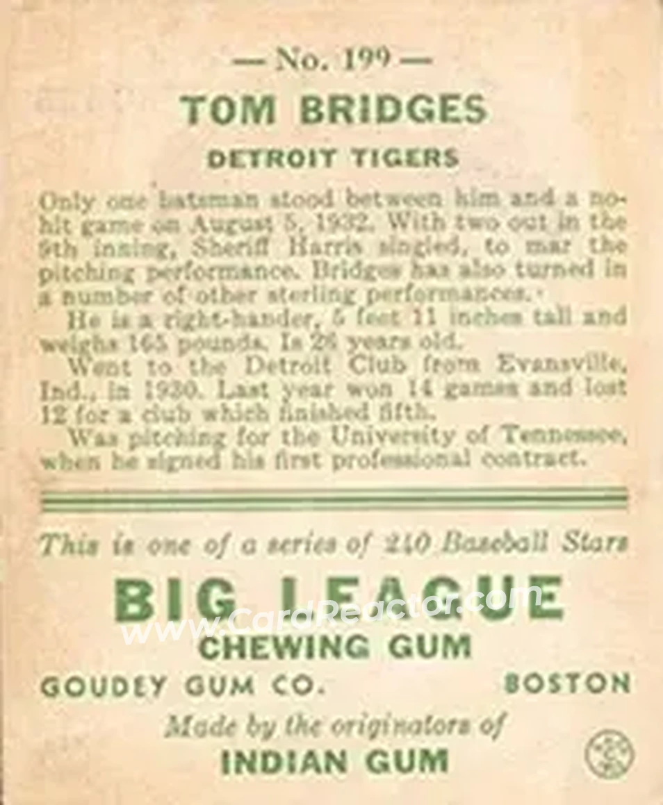 Back of Tom Bridges