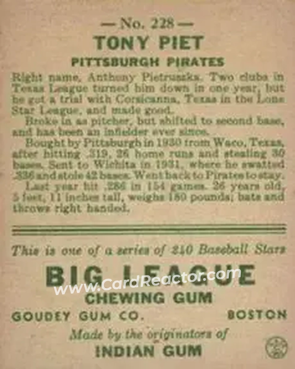 Back of Tony Piet