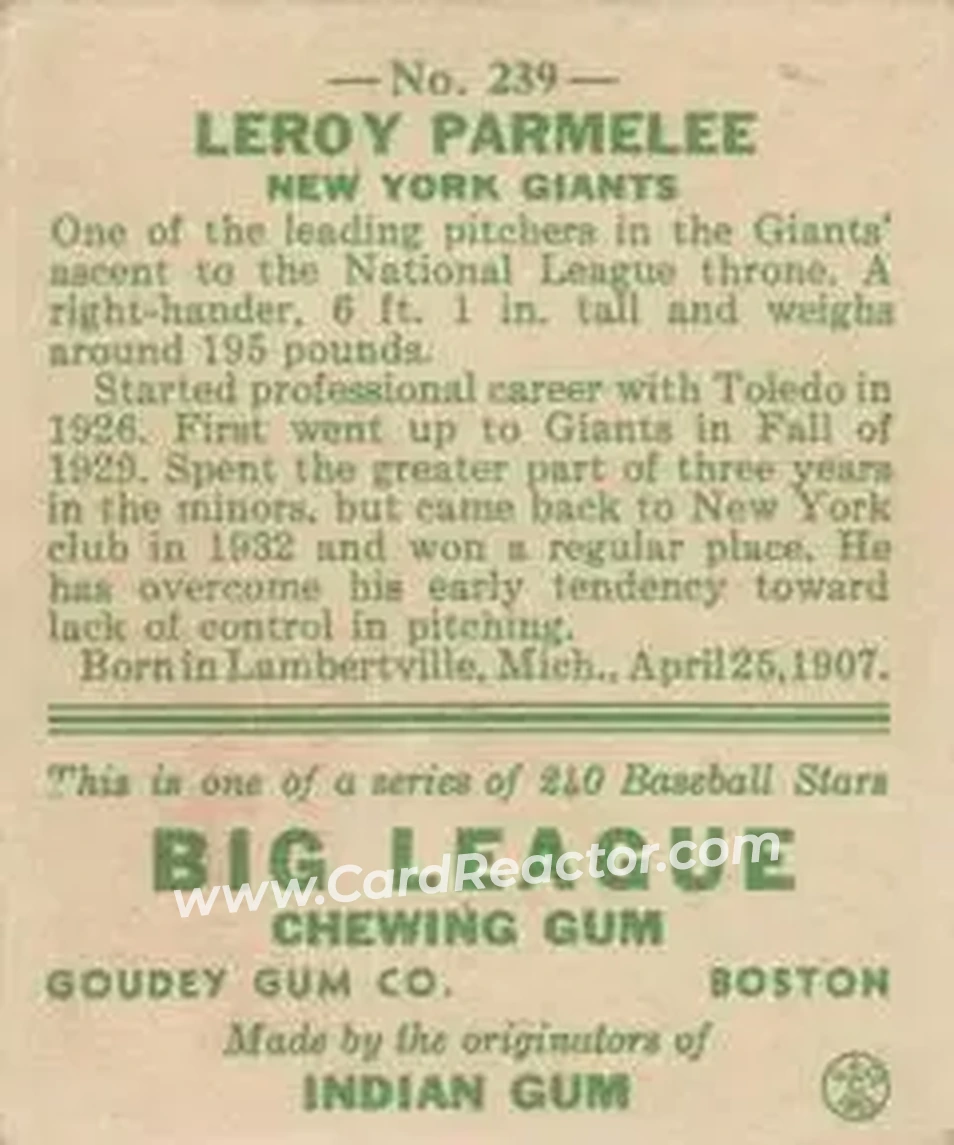 Back of Leroy Parmelee