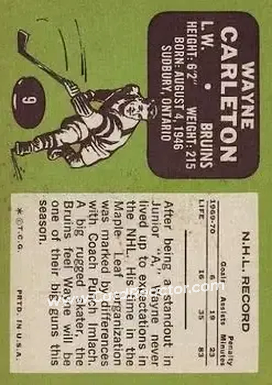 Back of Wayne Carleton