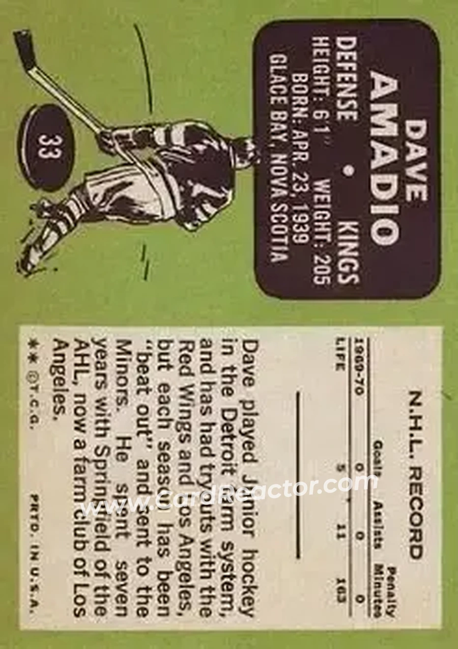 Back of Dave Amadio