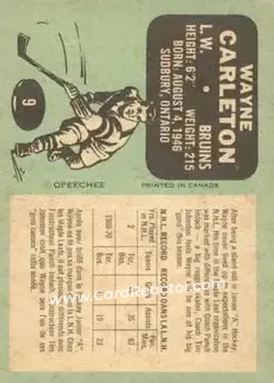 Back of Wayne Carleton