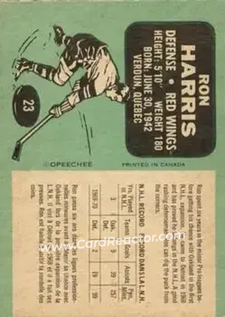 Back of Ron Harris