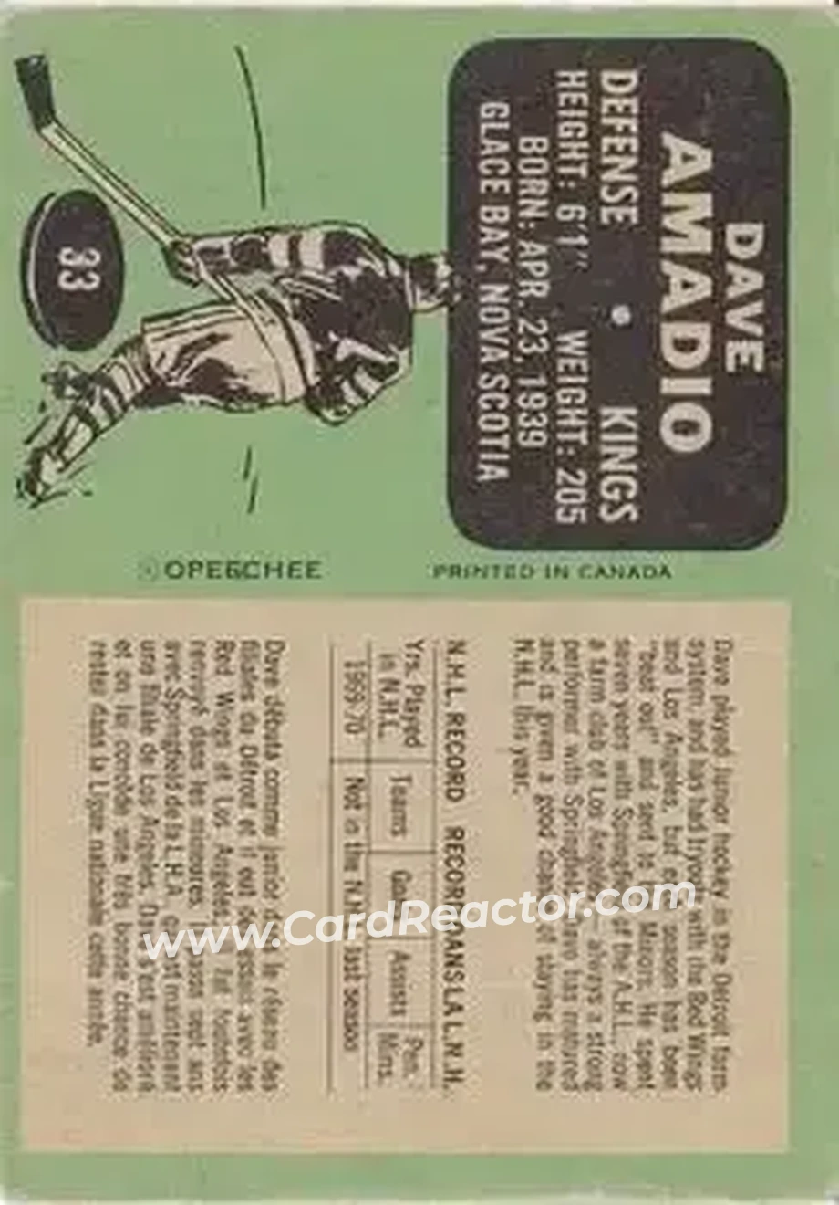 Back of Dave Amadio