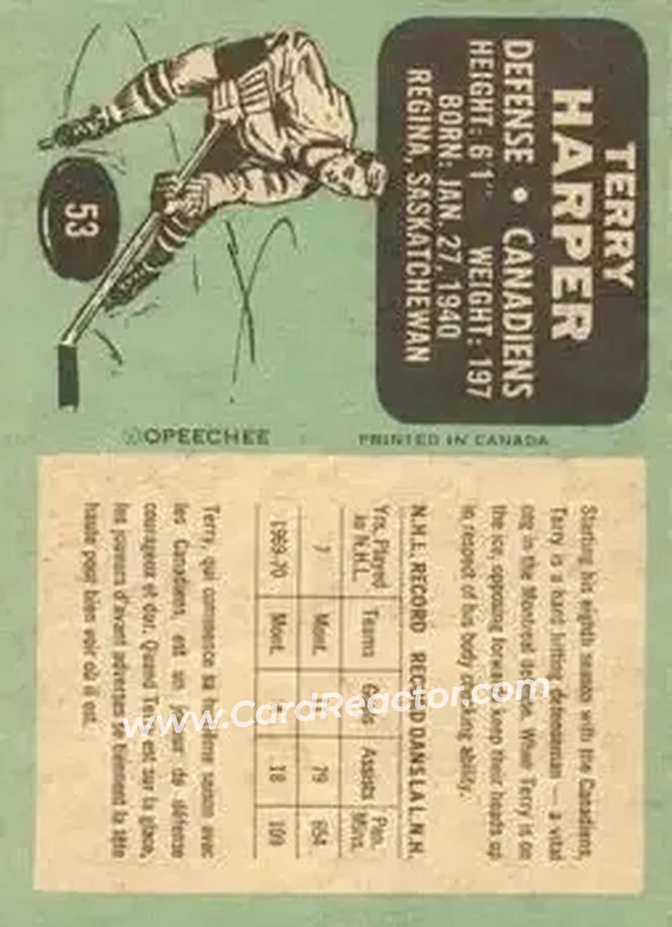 Back of Terry Harper