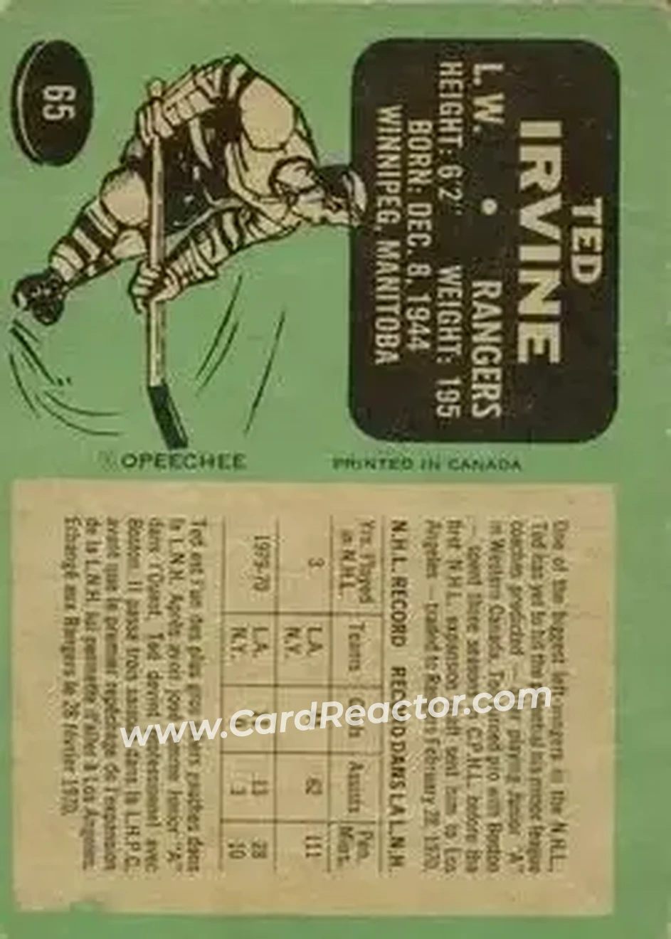 Back of Ted Irvine