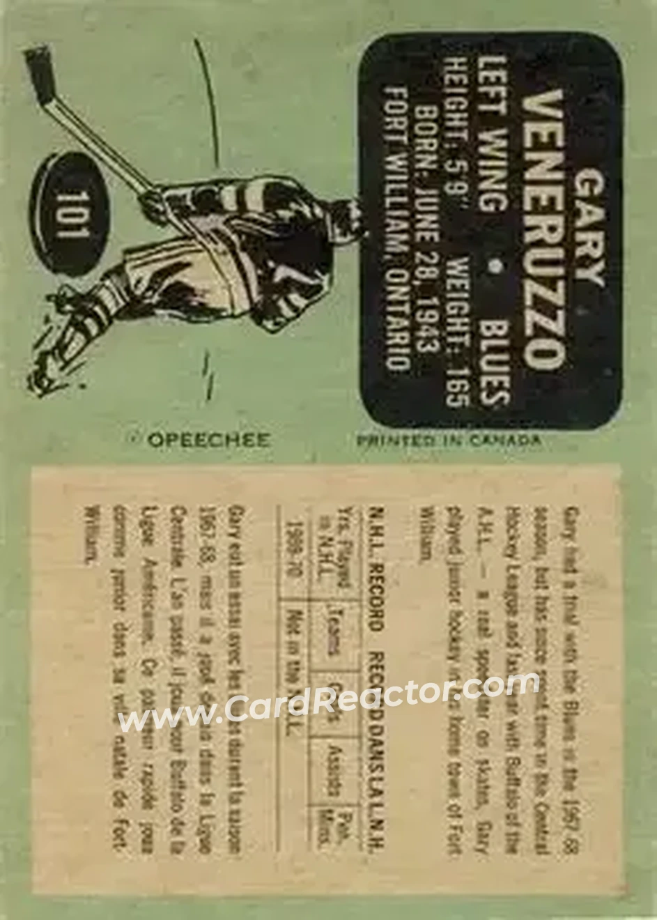 Back of Gary Veneruzzo