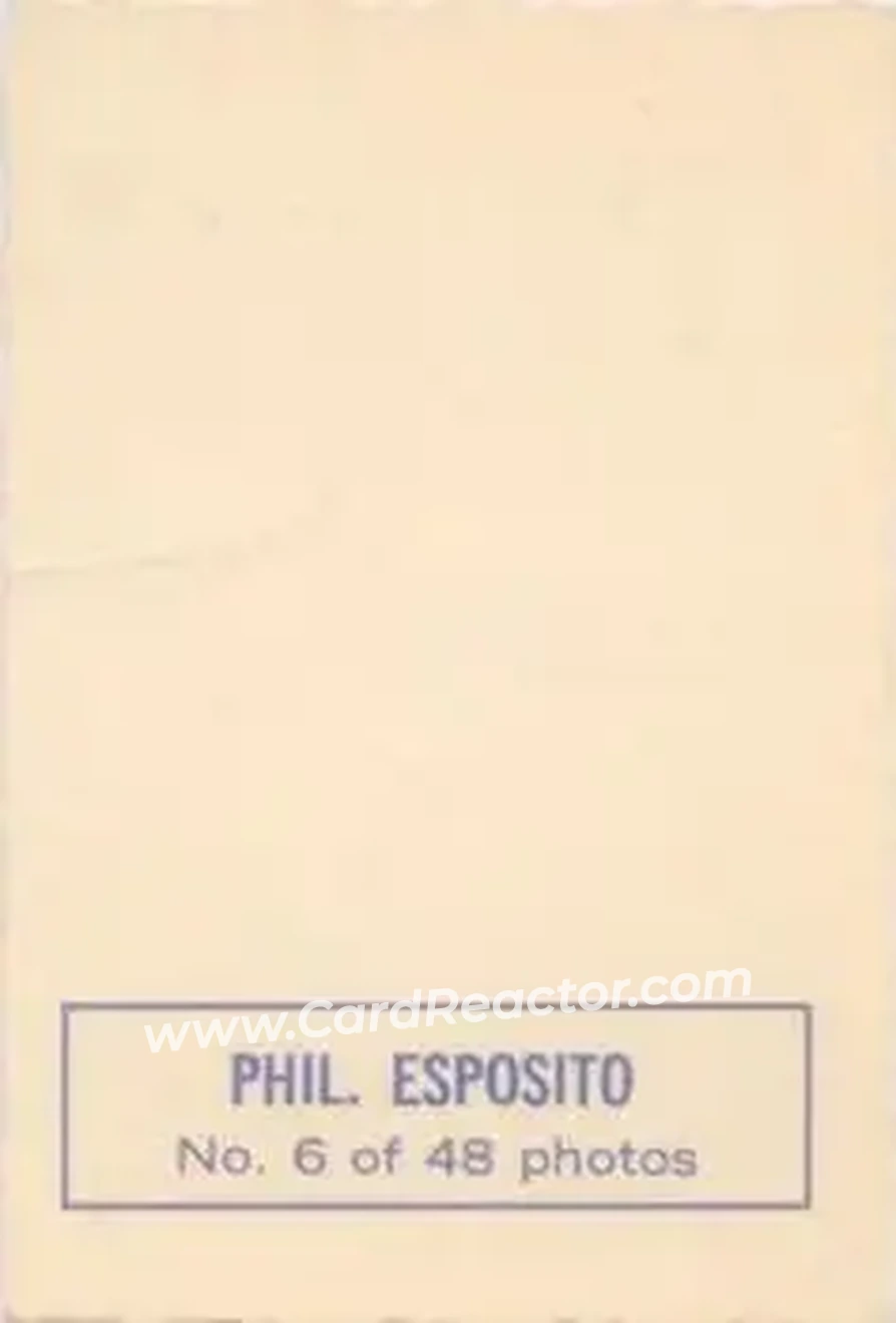 Back of Phil Esposito
