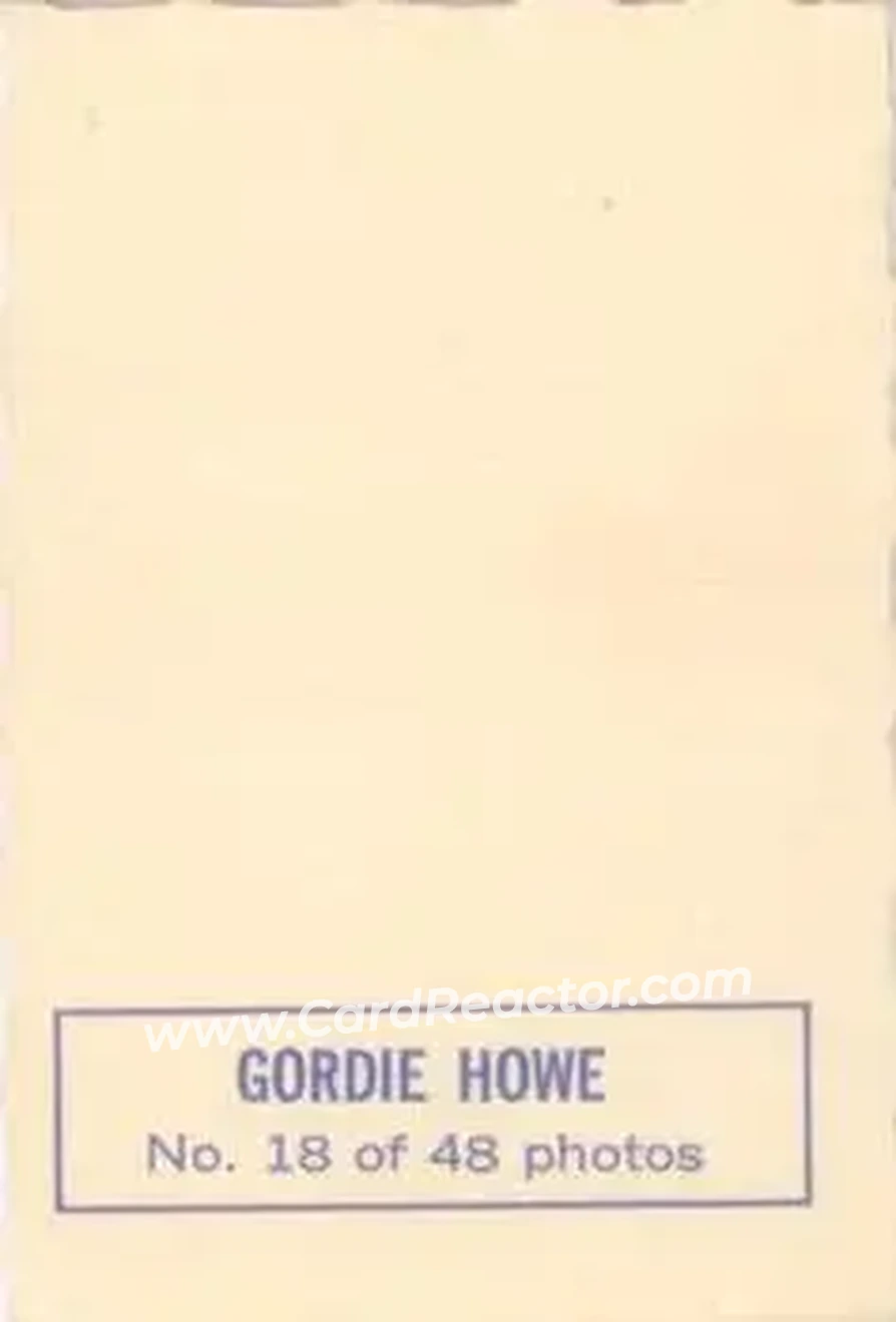 Back of Gordie Howe