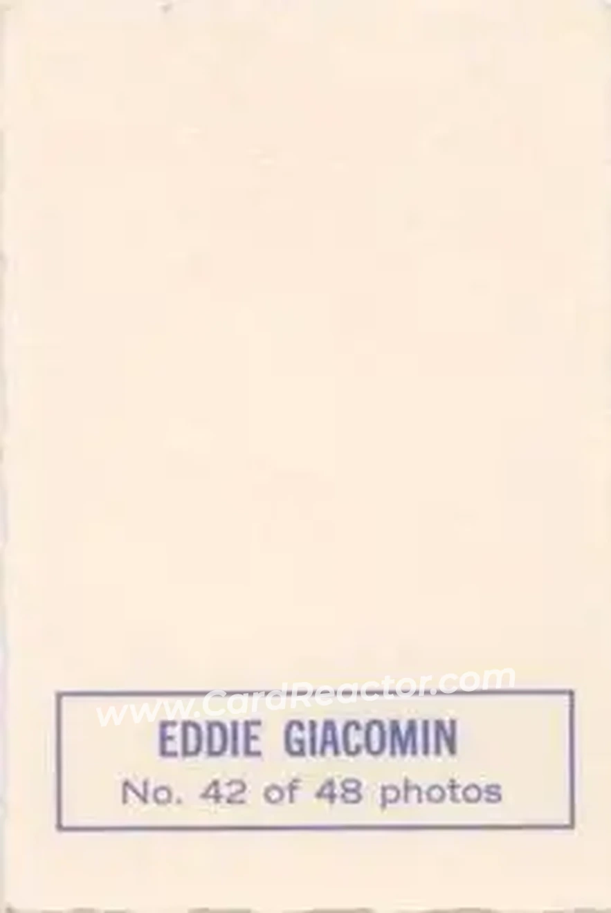 Back of Eddie Giacomin