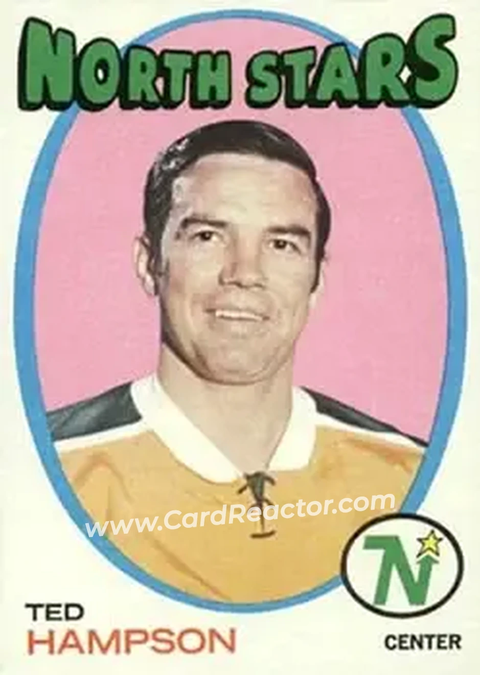 1971-72 O-Pee-Chee #101 Ted Hampson