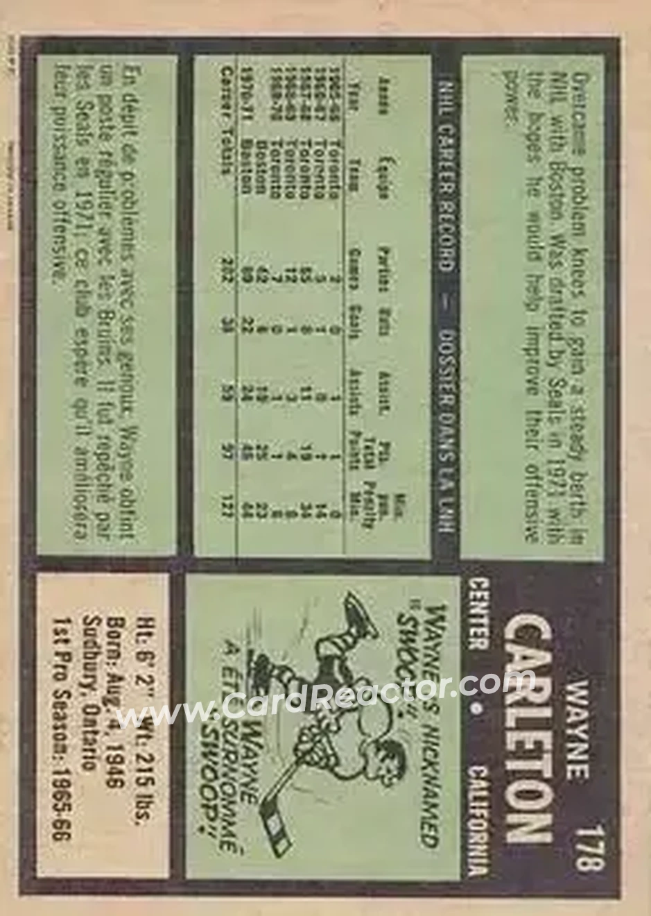 Back of Wayne Carleton