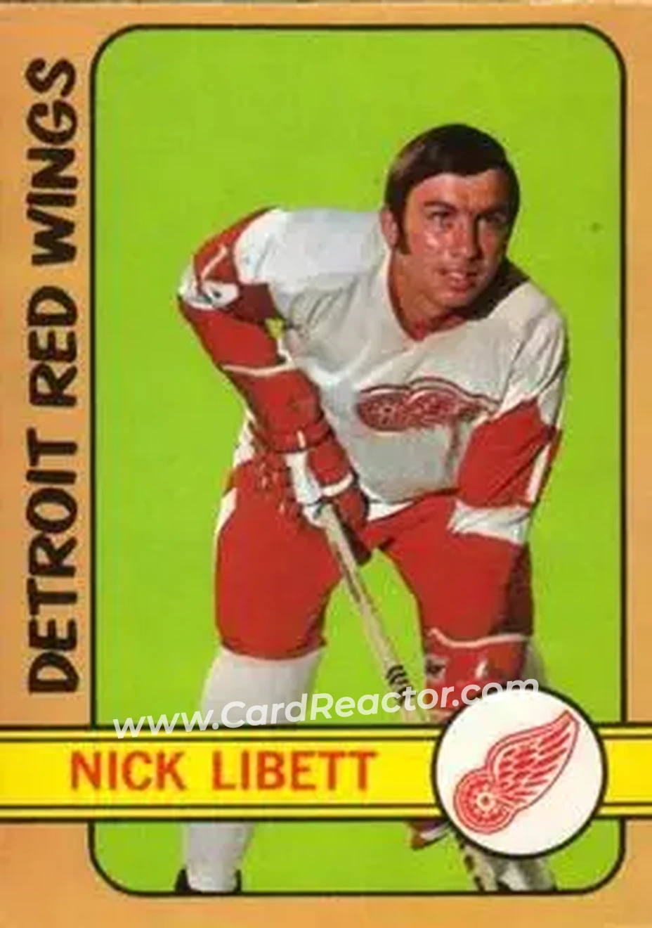 1972-73 O-Pee-Chee #45 Nick Libett