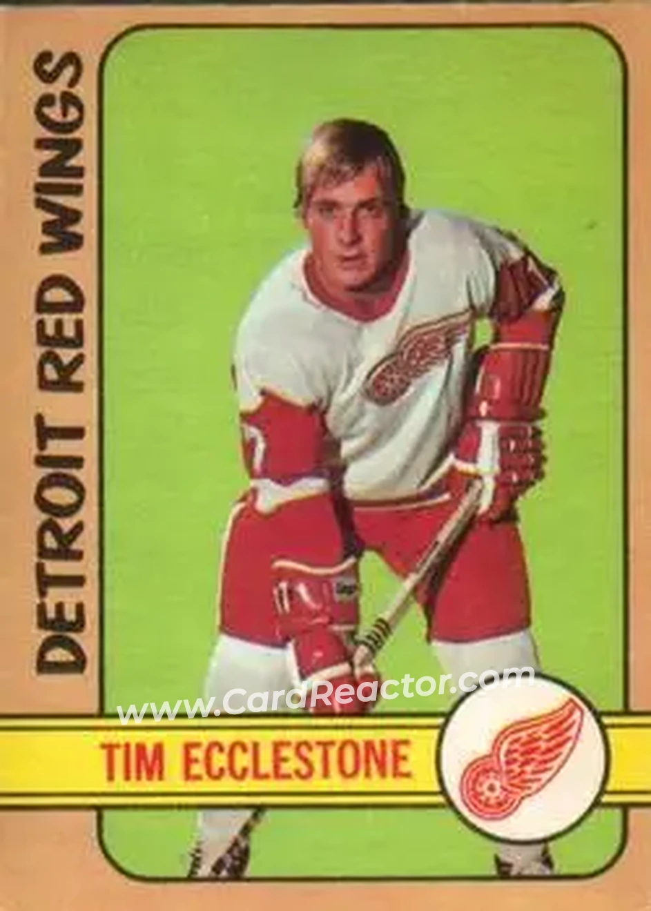 1972-73 O-Pee-Chee #55 Tim Ecclestone
