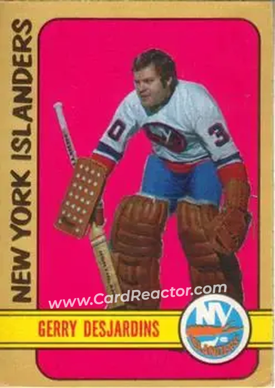 Front of Gerry Desjardins