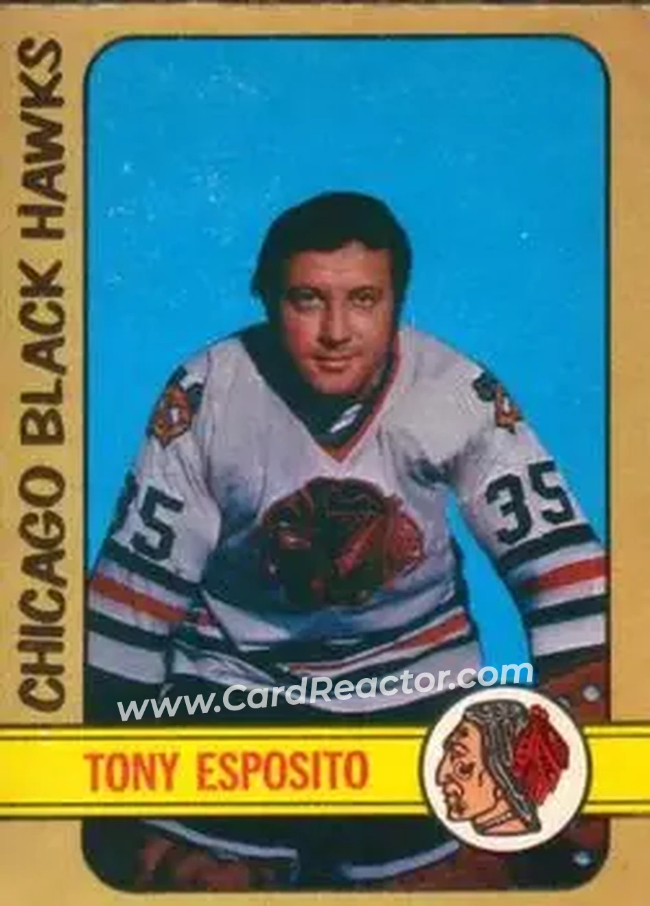 1972-73 O-Pee-Chee #137 Tony Esposito