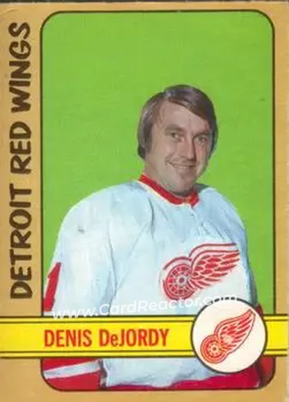 1972-73 O-Pee-Chee #184 Denis DeJordy