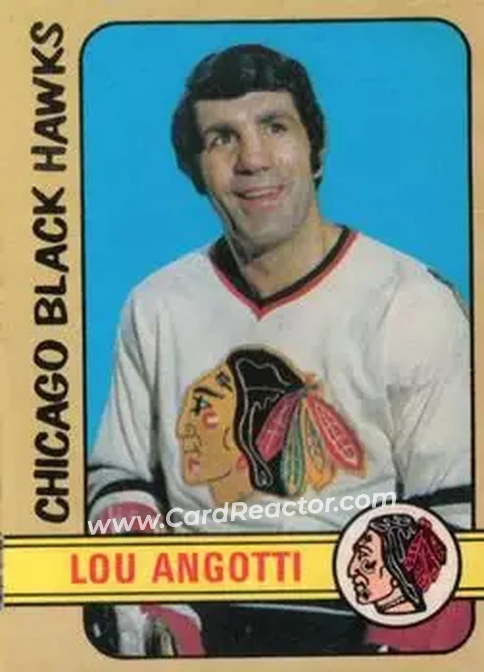 1972-73 O-Pee-Chee #243 Lou Angotti