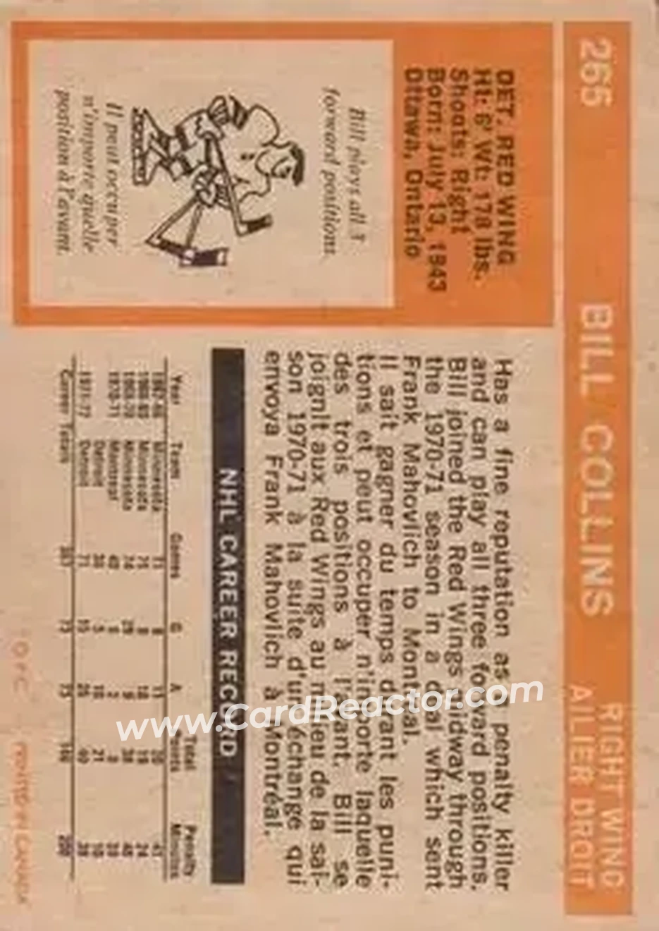 Back of Bill Collins