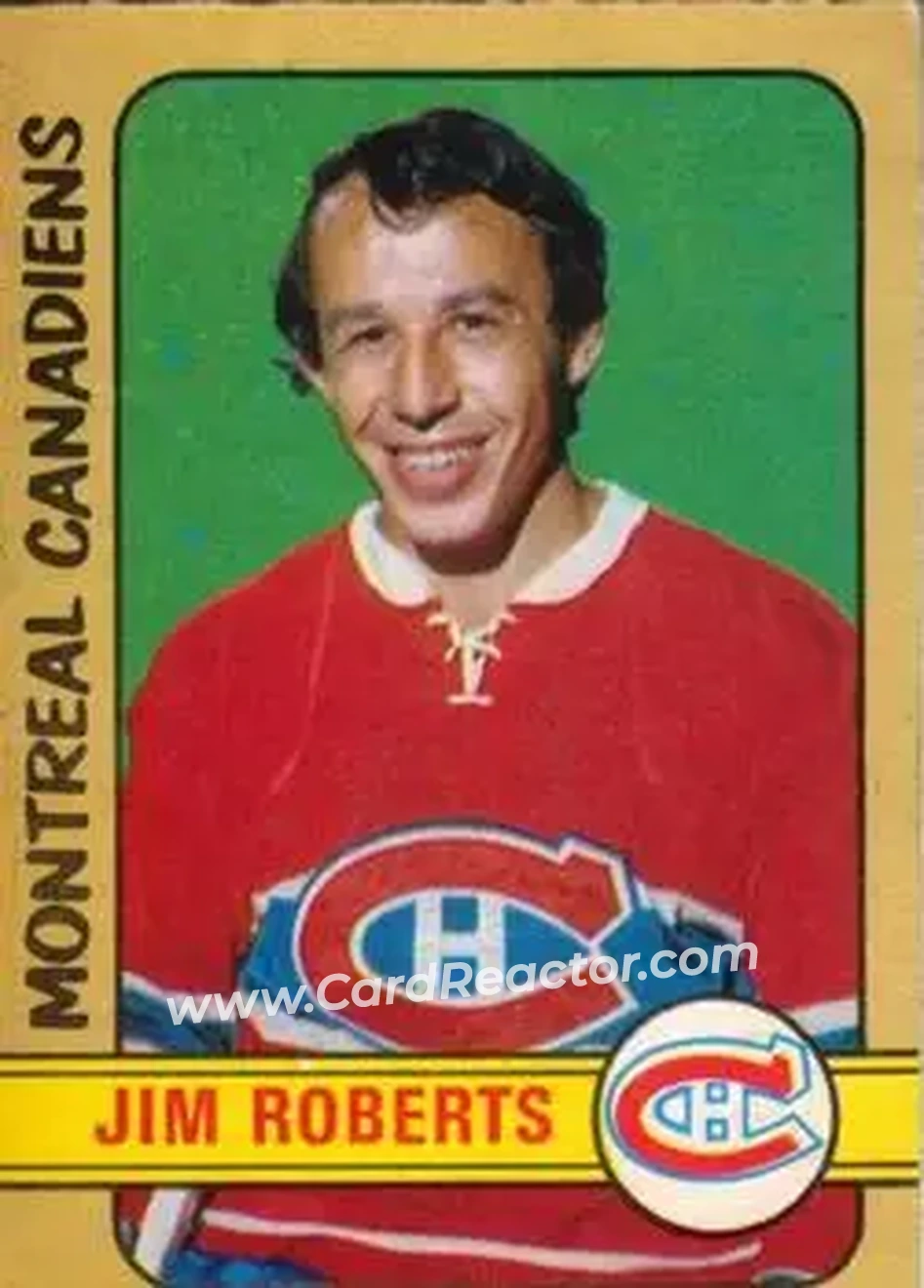 1972-73 O-Pee-Chee #269 Jim Roberts