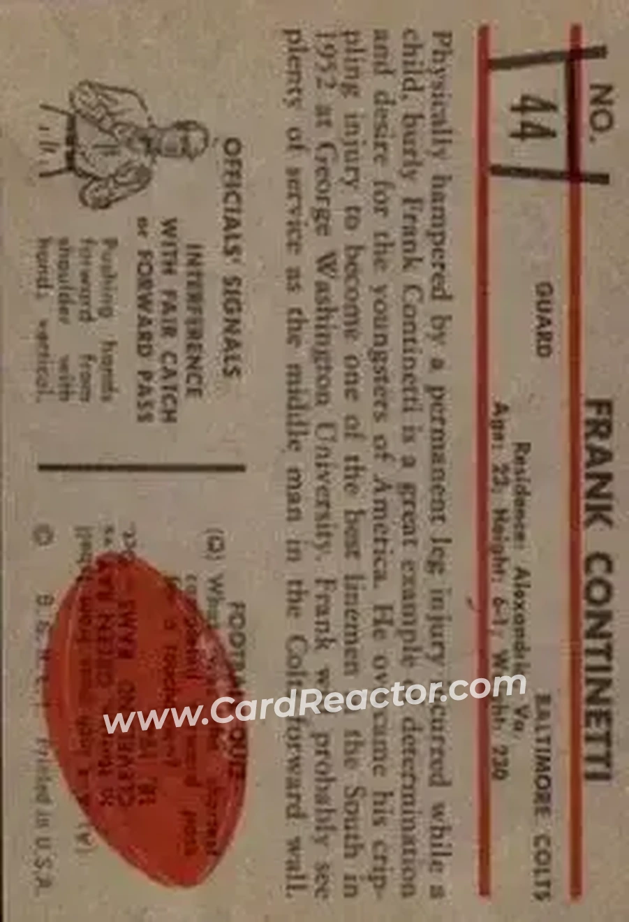 Back of Frank Continetti