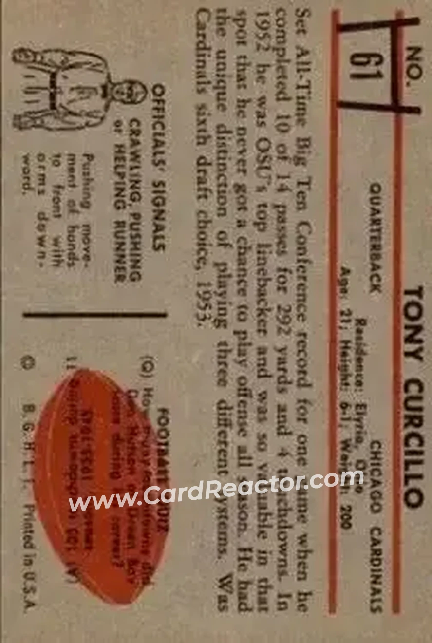 Back of Tony Curcillo