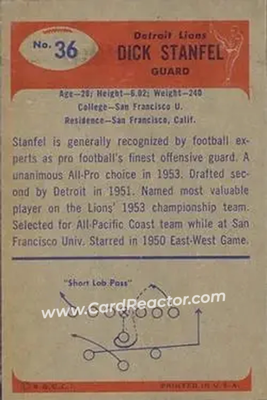 Back of Dick Stanfel