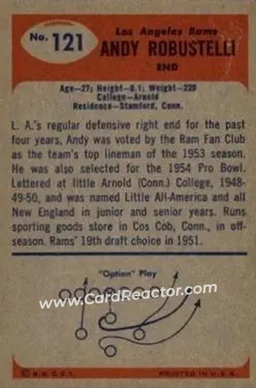 Back of Andy Robustelli